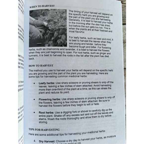 BACKYARD PHARMACY How To Grow Your Own Herbal Garden & Replace Your Medicine Cab - Picture 6 of 7